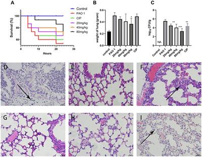 Epigallocatechin-3-Gallate Ameliorates Acute Lung Damage by Inhibiting Quorum-Sensing-Related Virulence Factors of Pseudomonas aeruginosa